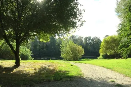 Maison de vacances - MONTFRIN, Villa Vignoble à Montfrin - Photo 28