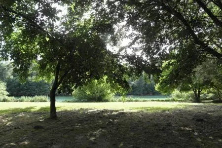 Maison de vacances - MONTFRIN, Villa Vignoble à Montfrin - Photo 29