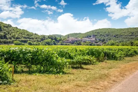 La Bise, Charme de Montclus : Vues et Calme - Photo 36