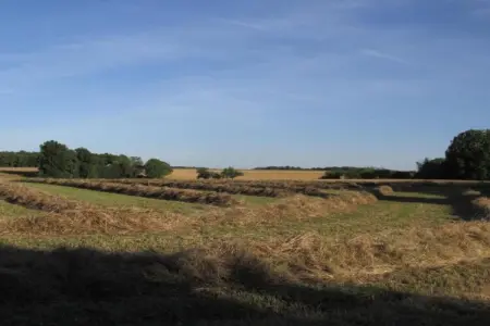 La Campagne, Appartement à Faverolles près de la plage - Photo 24