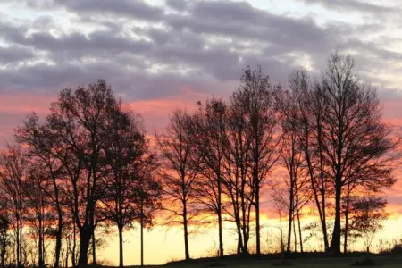 La Campagne, Appartement à Faverolles près de la plage - Photo 29