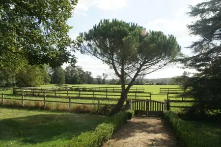 Maison de vacances Cinais, Refuge au bord de la rivière à Cinais - Photo 22