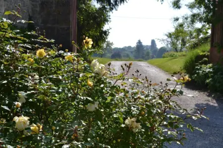 Maison de vacances - CHILLEURS-AUX-BOIS, Maison à Chilleurs près du Château - Photo 20