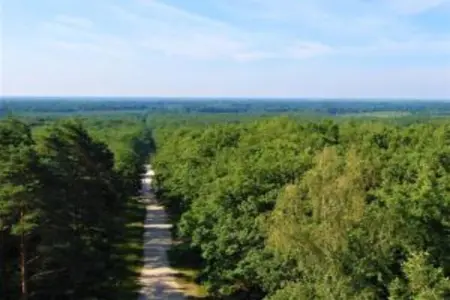 Maison de vacances - CHILLEURS-AUX-BOIS, Maison à Chilleurs près du Château - Photo 25