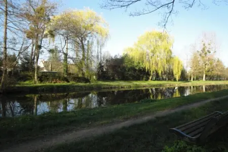 Maison de vacances - CHILLEURS-AUX-BOIS, Maison à Chilleurs près du Château - Photo 36