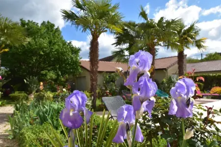 Maison de vacances Espere, Belle maison de vacances avec cour intérieure - Photo 38