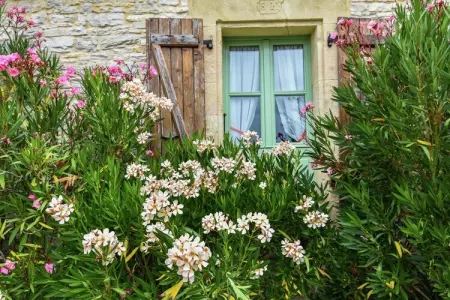 Maison de vacances, Séjour paisible à Thédirac - Photo 22