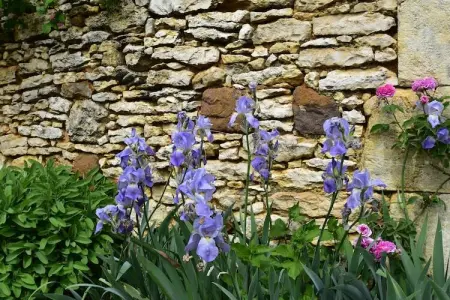 Maison belle vue, Maison de vacances avec jardin privé - Photo 25