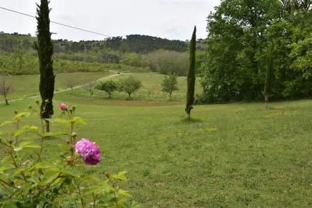 Maison belle vue, Maison de vacances avec jardin privé - Photo 29