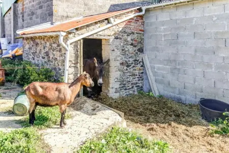 Maison de vacances - BRAINVILLE, Évasion au jardin de Brainville - Photo 27