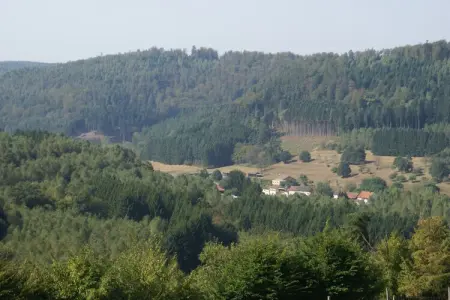 Maison de vacances - SEIGNEULLES, Escapade au jardin de Seigneulles - Photo 21