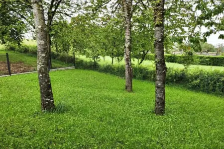 Maison de vacances - NETTANCOURT, Séjour en famille Nettancourt - Photo 35
