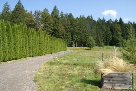 Maison de vacances - TURQUESTEIN BLANCRUPT, Escapade en famille avec jardin - Photo 27