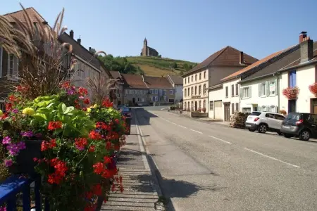 Maison de vacances - TURQUESTEIN BLANCRUPT, Escapade en famille avec jardin - Photo 28