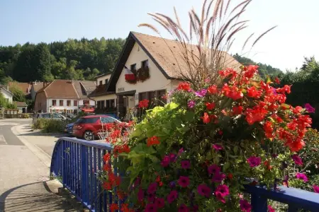 Maison de vacances - TURQUESTEIN BLANCRUPT, Escapade en famille avec jardin - Photo 30