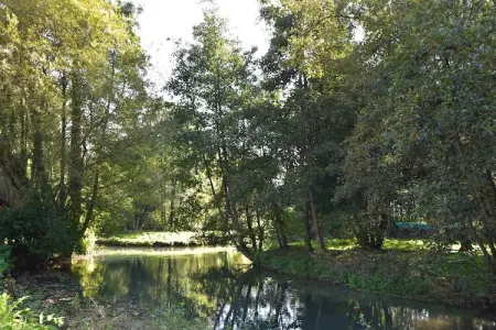 Maison Le Ponchel, Gîte du Domaine du Moulin avec un beau jardin - Photo 17