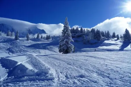 Chalet au calme avec garage aux Houches - Photo 13