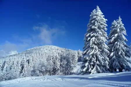 Chalet au calme avec garage aux Houches - Photo 18