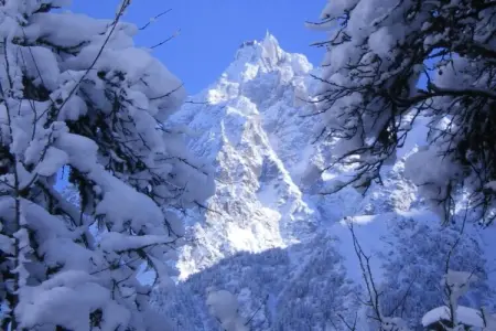 Chalet au calme avec garage aux Houches - Photo 22