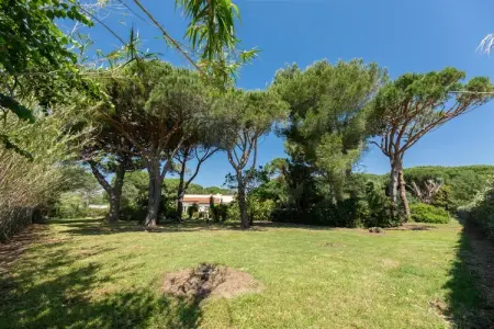 Romarins, Maison sous les pins proche plage de Pampelonne - Photo 4