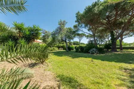 Romarins, Maison sous les pins proche plage de Pampelonne - Photo 32