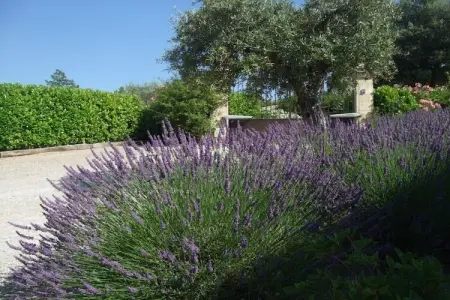 Verdi, Appartement à Montauroux près du St. Cassien - Photo 29