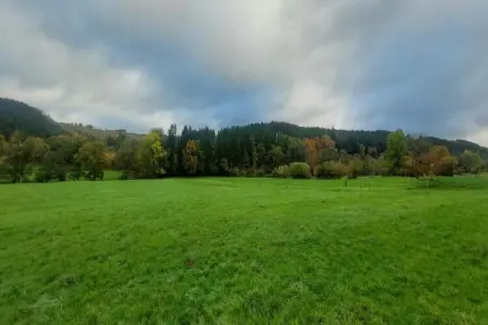 Verdi, Appartement Montauroux près du Lac Cassien - Photo 37