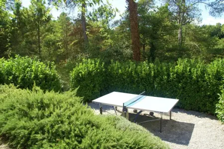 Verdi, Appartement à Montauroux avec piscine et forêt - Photo 27