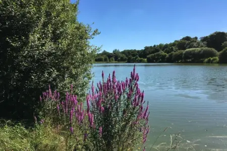 L'Orangerie, Maison Saint-Laurent Piscine Jardin - Photo 33