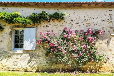 L'Orangerie, Maison Saint-Laurent Piscine Jardin - Photo 35