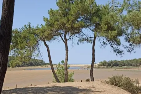 Maison vacances chaleureuse proche de la plage, Maison à Avrillé proche plages de sable - Photo 31