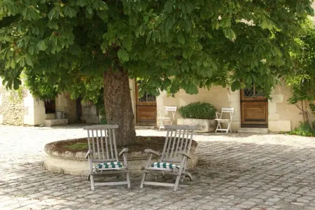 Manoir avec piscine privée, Maison à Thurageau avec Piscine Privée - Photo 36