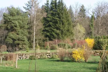 Maison de vacances - LA CHAPELLE-AUX-BOIS, Maison à La Chapelle avec jardin - Photo 28