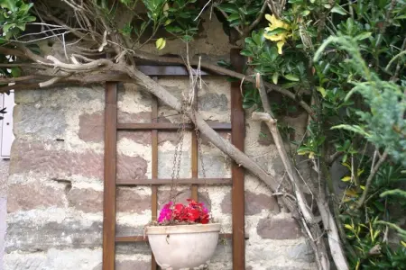 Maison de vacances - LA CHAPELLE-AUX-BOIS, Maison à La Chapelle avec jardin - Photo 38