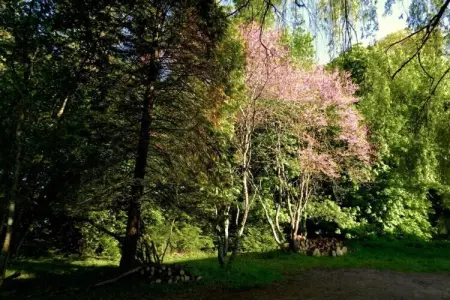 Maison de vacances Diges, Maison à Diges avec jardin et vélo - Photo 24