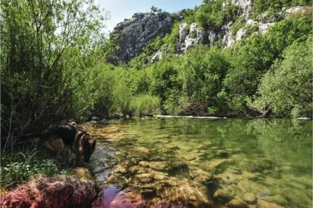Peso, Villa à Ugljane avec piscine privée - Photo 39