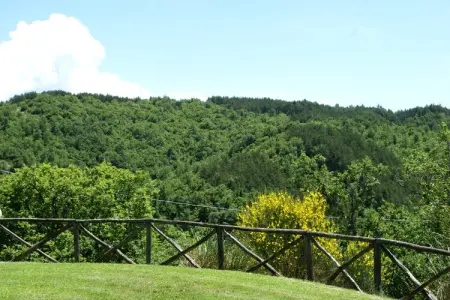 Vaschi Tre Bilo Quattro, Maison à Città di Castello avec Piscine - Photo 8