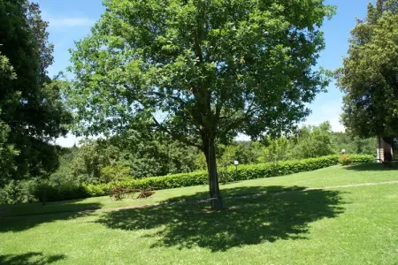 Vaschi Tre Bilo Quattro, Maison à Città di Castello avec Piscine - Photo 14