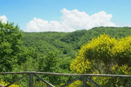Vaschi Undici Trilo Sei, Maison à Città di Castello avec Piscine - Photo 20