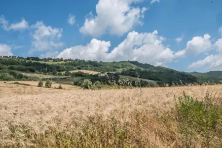 Villa Monte Acuto, Villa à Umbertide avec Piscine et Jardin - Photo 35