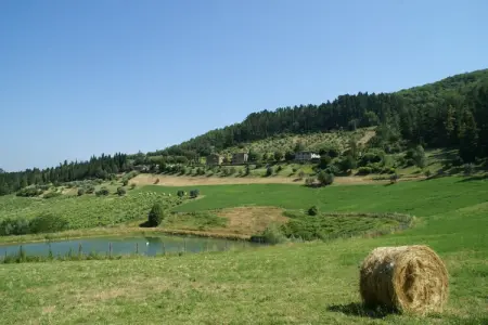 Brunelleschi, Ferme à Dicomano avec vue sur la Toscane - Photo 14