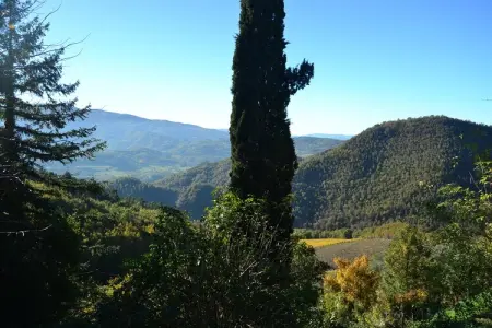 Brunelleschi, Ferme à Dicomano avec vue sur la Toscane - Photo 17