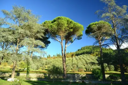 Beato Angelico, Maison de vacances à Dicomano - Photo 15