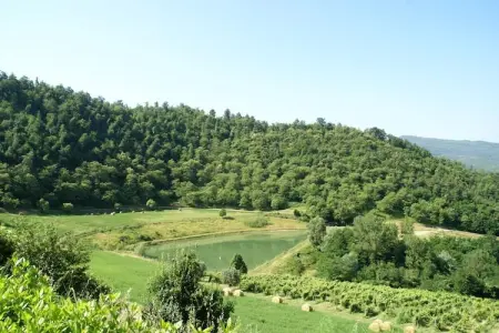 Villa Vivai, Maison de vacances à Dicomano (FI) - Photo 24