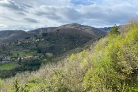 Villa Vivai, Maison de vacances à Dicomano (FI) - Photo 37