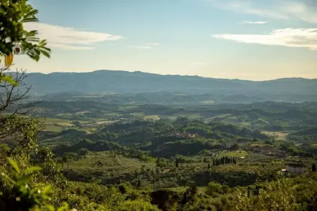 Podere Pulicciano Orciaia, Maison de Vacances à Chianti avec Piscine - Photo 29