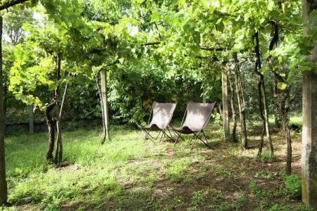 Feritoie, Maison de vacances à Cortona - Photo 38