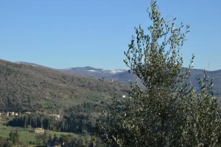 Cicerchia, Maison de vacances à Cortona - Photo 35