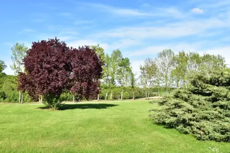Maison de vacances  St Maurice sur Aveyron ferme, Maison de vacances avec jardin privé dans - Photo 28