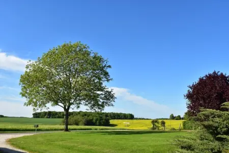 Maison de vacances  St Maurice sur Aveyron ferme, Maison de vacances avec jardin privé dans - Photo 29